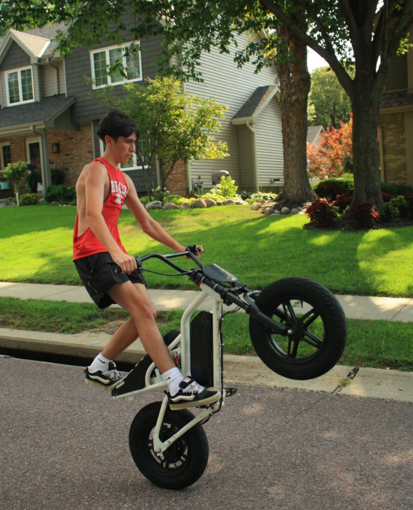 Electric Moped For Sale | VICTRIP