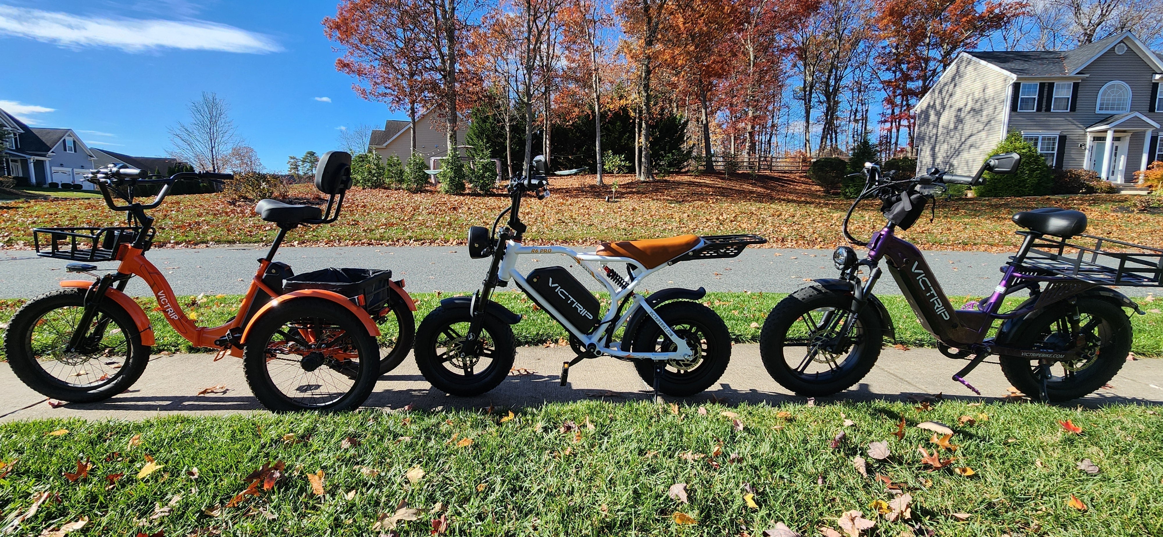 750 Watt Electric Bike | VICTRIP