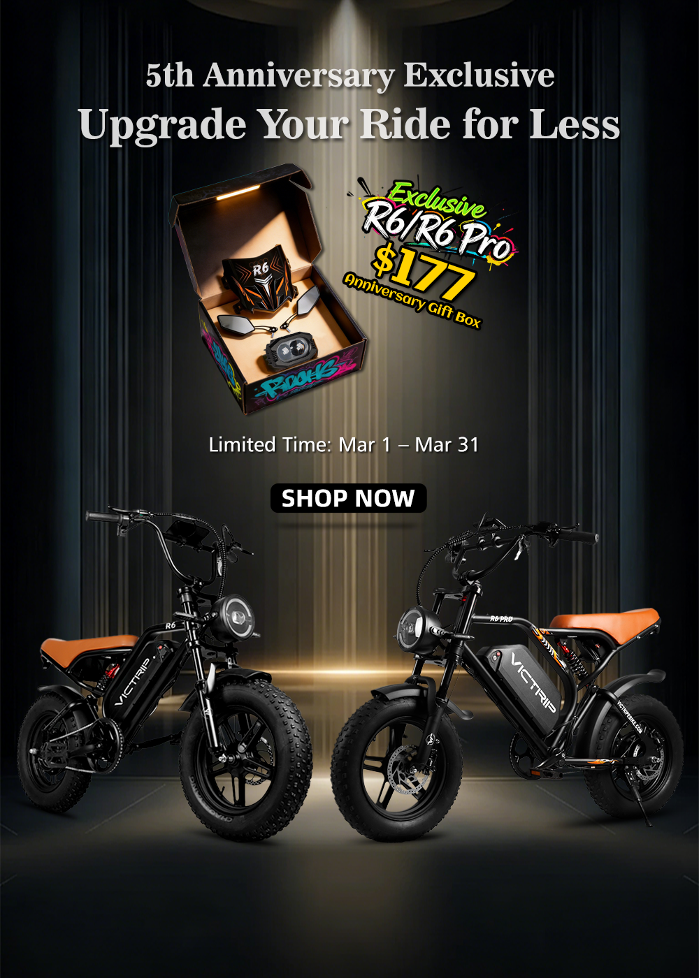 Best Electric Mopeds For Adults | VICTRIP