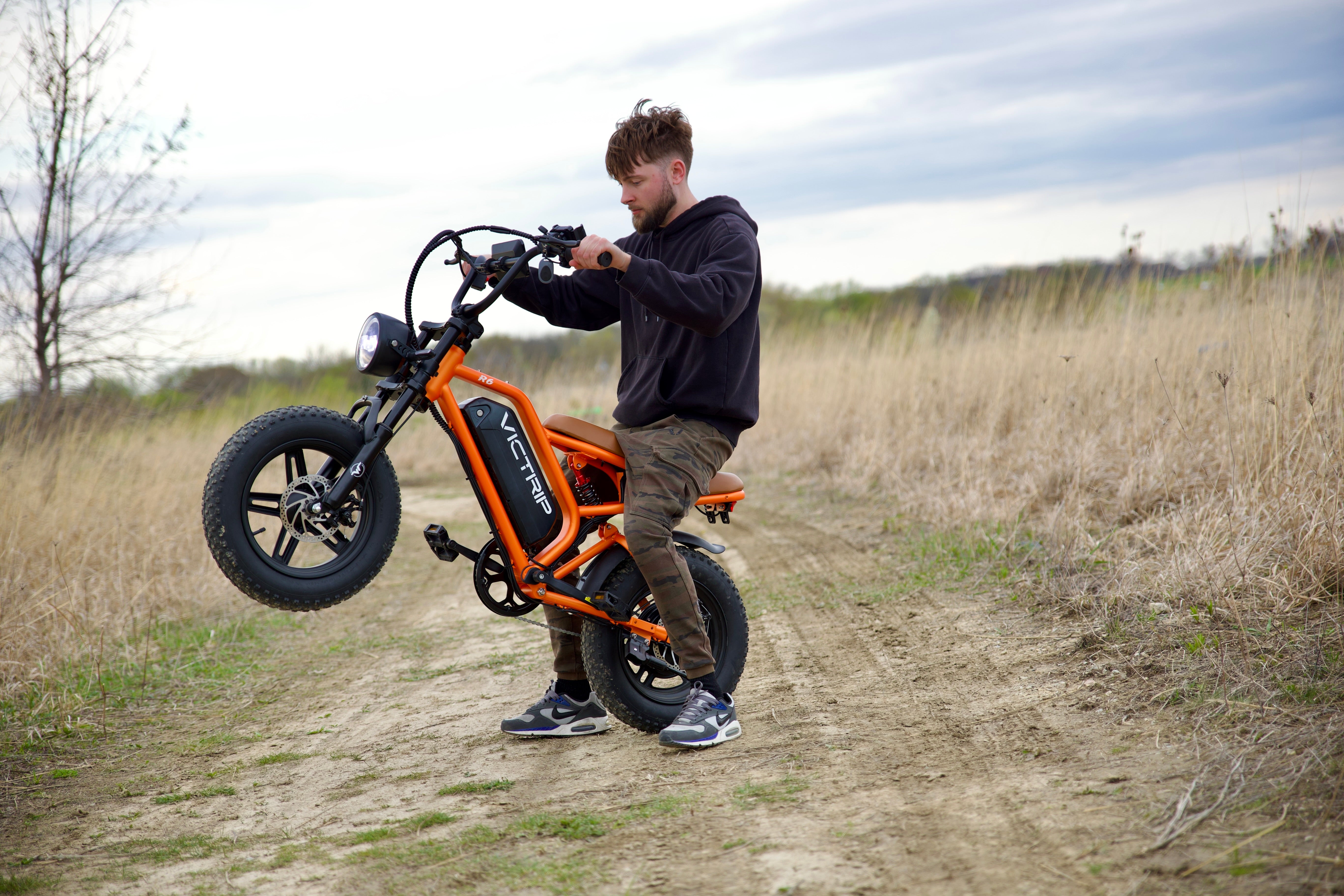 Best Buy Electric Bikes | VICTRIP