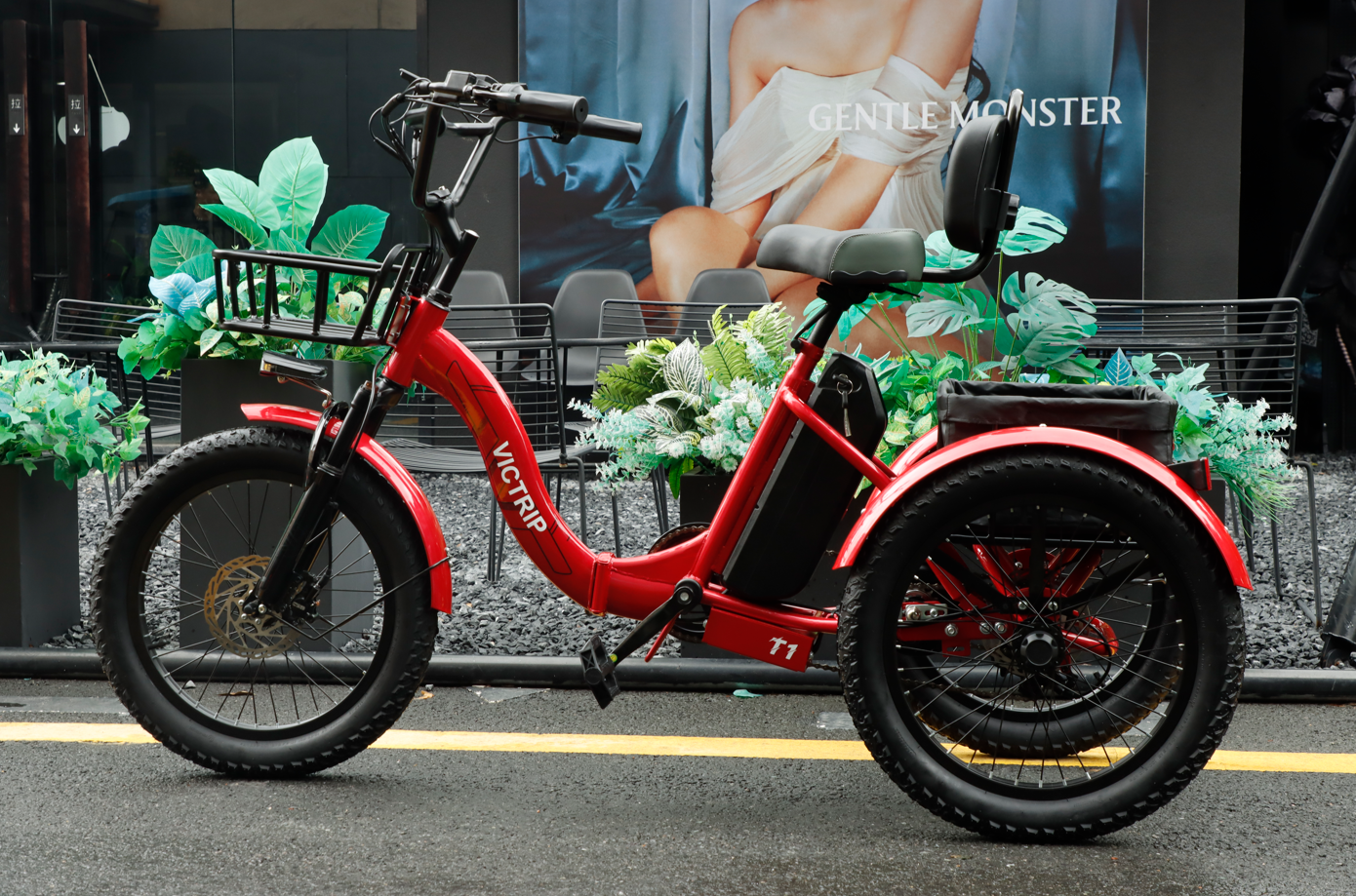 E-trikes Electric Tricycles | VICTRIP