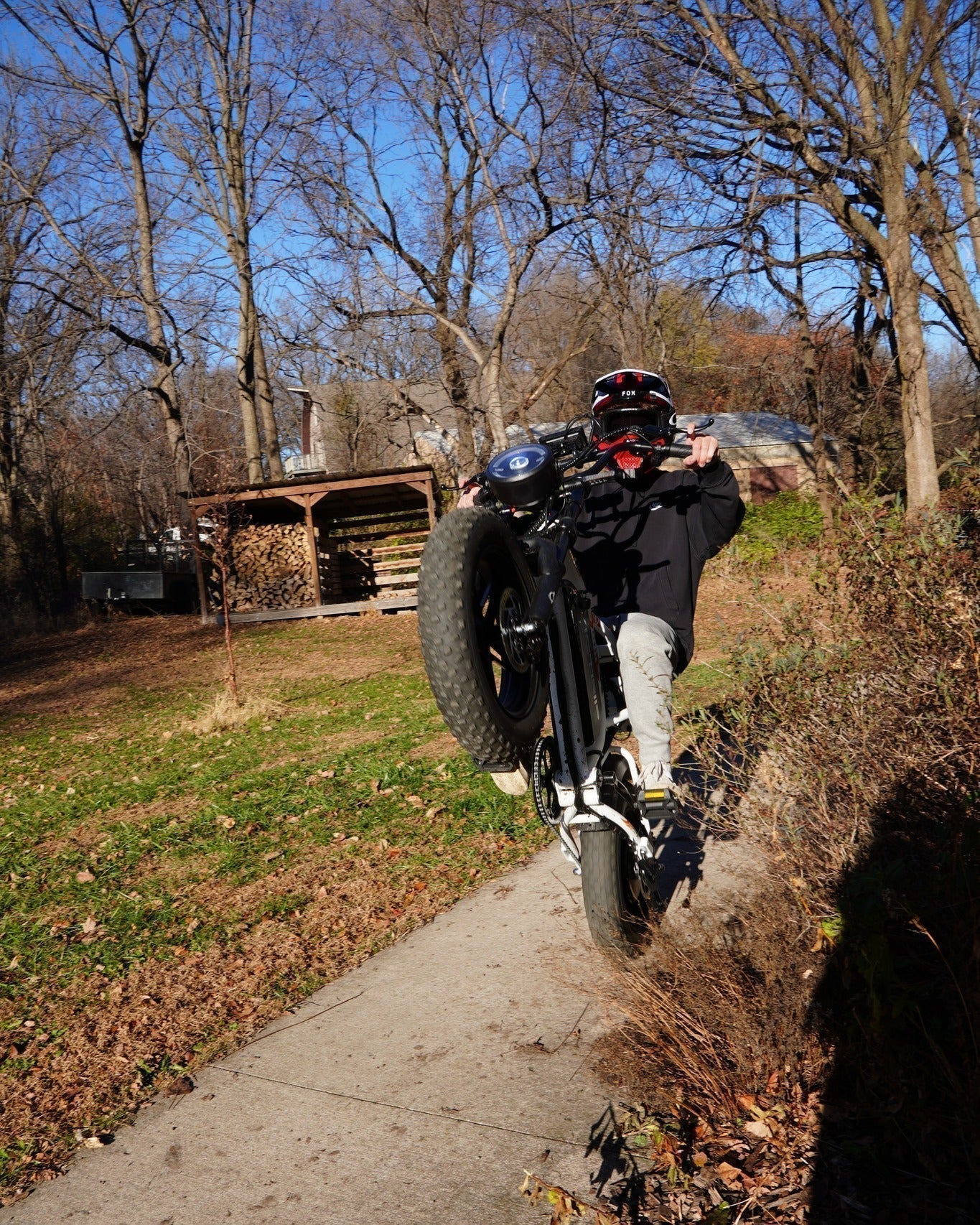 Electric Bikes That Look Like Motorcycles | VICTRIP