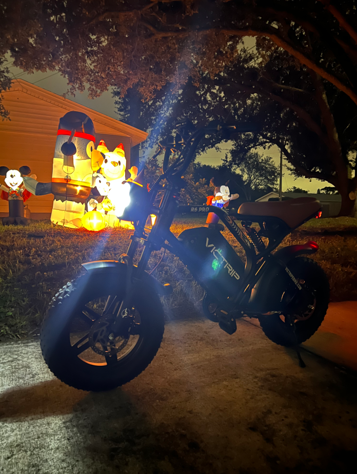 Fastest Electric Bikes For Adults | VICTRIP