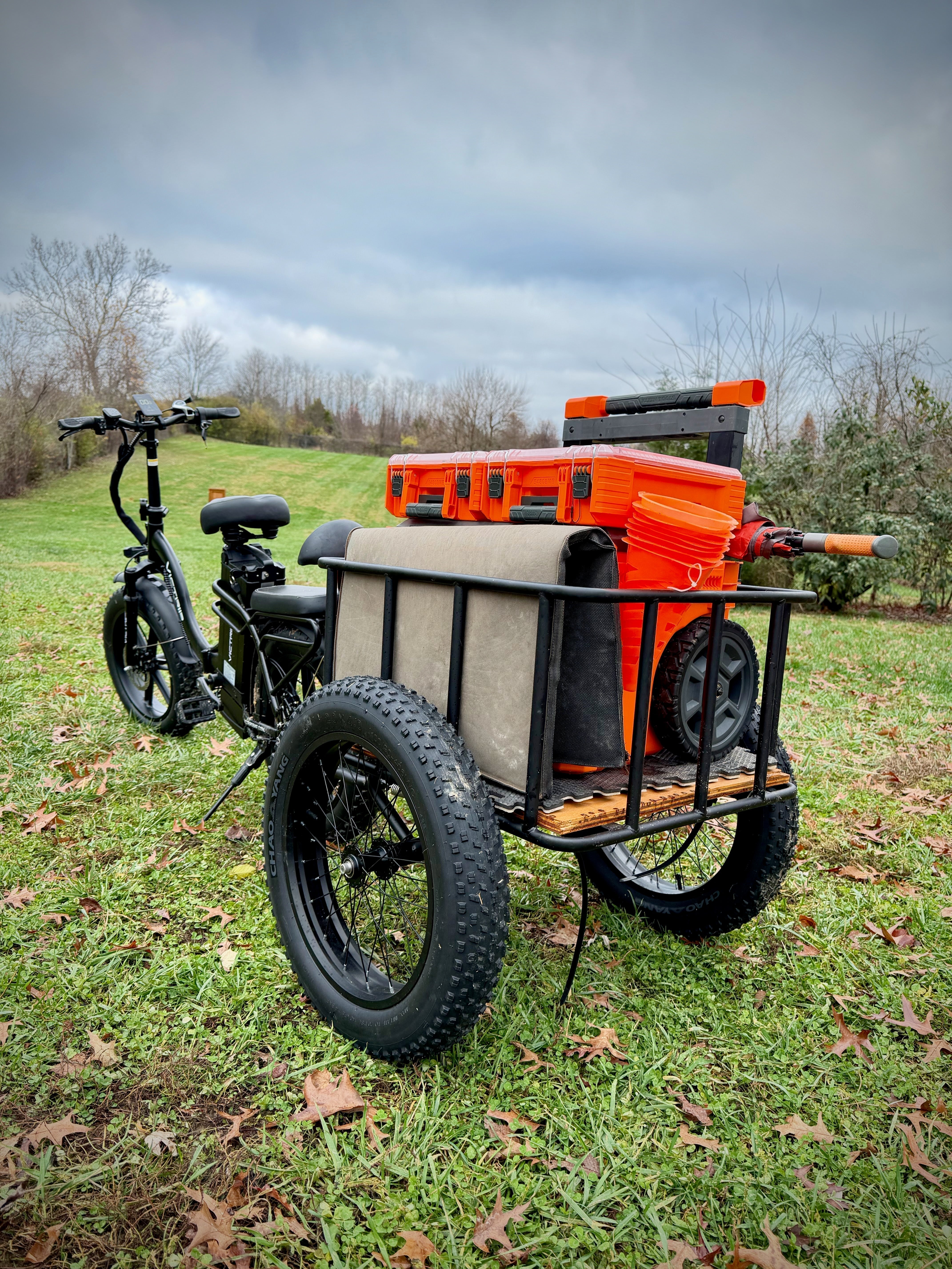 Electric Bike Trailer | VICTRIP