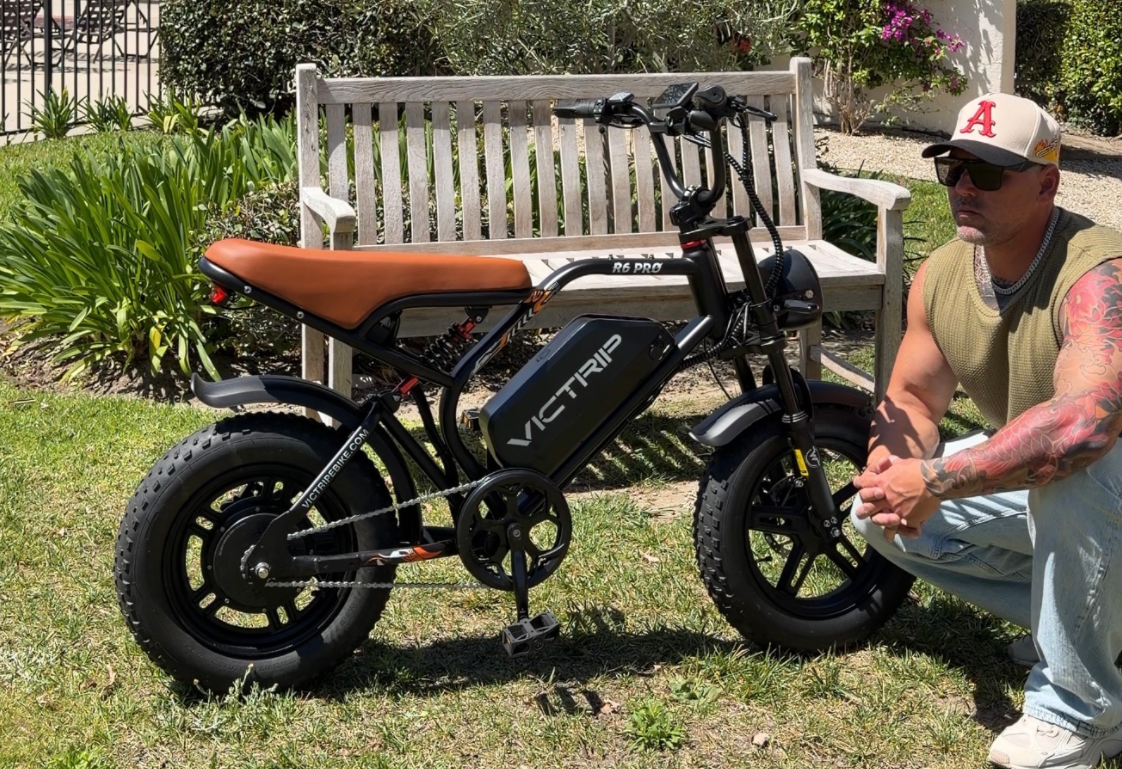 Mountain E Bicycle | VICTRIP