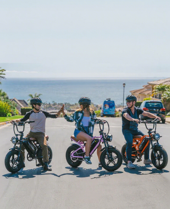 Battery Operated Bicycles | VICTRIP