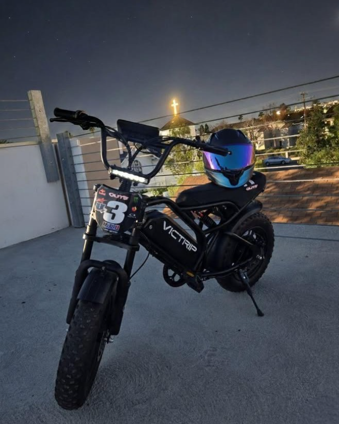 1000W Electric Bike | VICTRIP