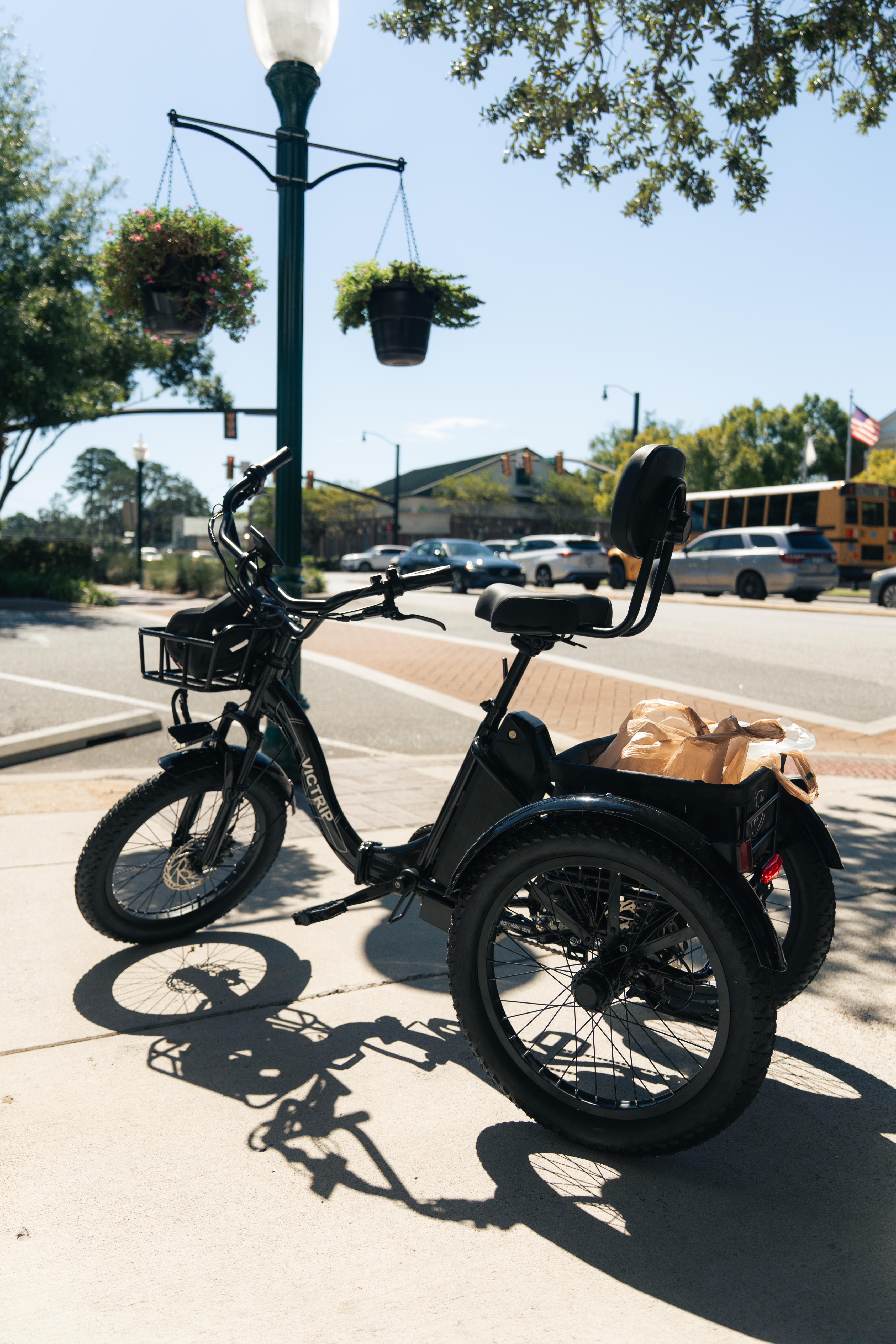 Three Wheeler Electric Bike Folding | VICTRIP