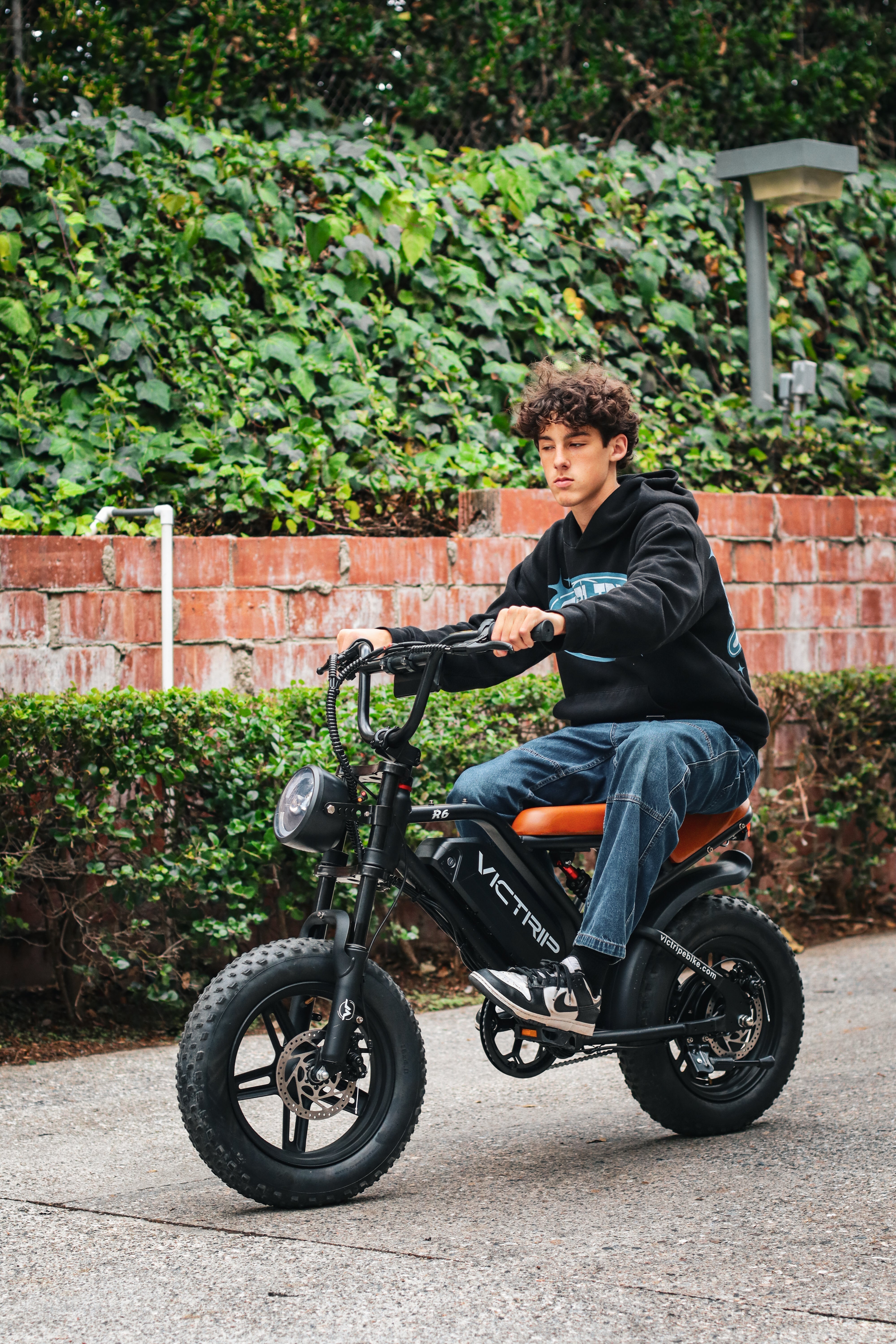 Best 1500 Watt Ebike | VICTRIP