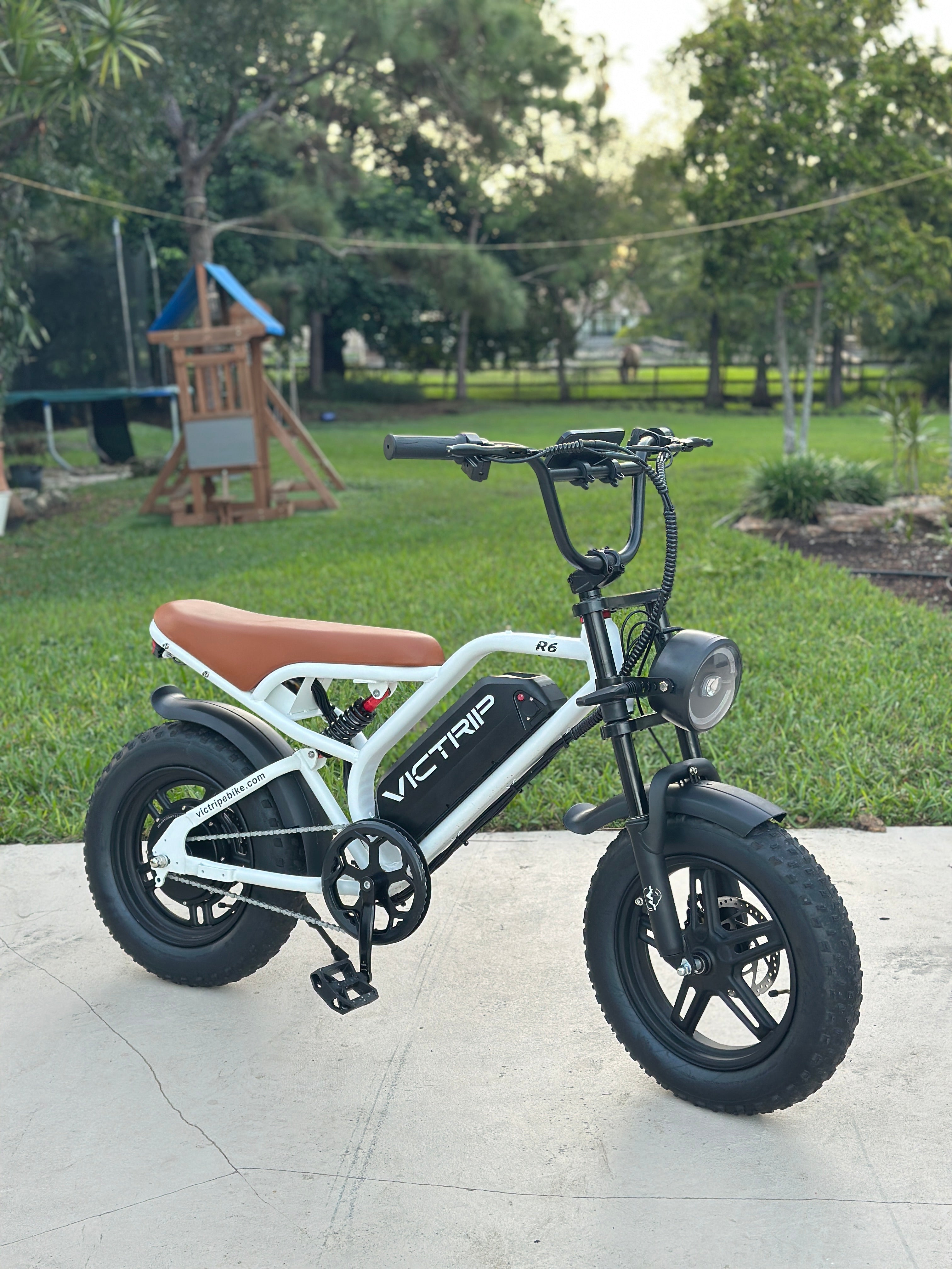 Best Moped-style E Bike | VICTRIP