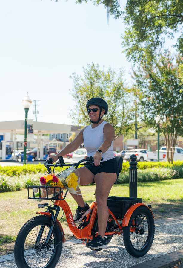 3 Wheel Electric Tricycle | VICTRIP