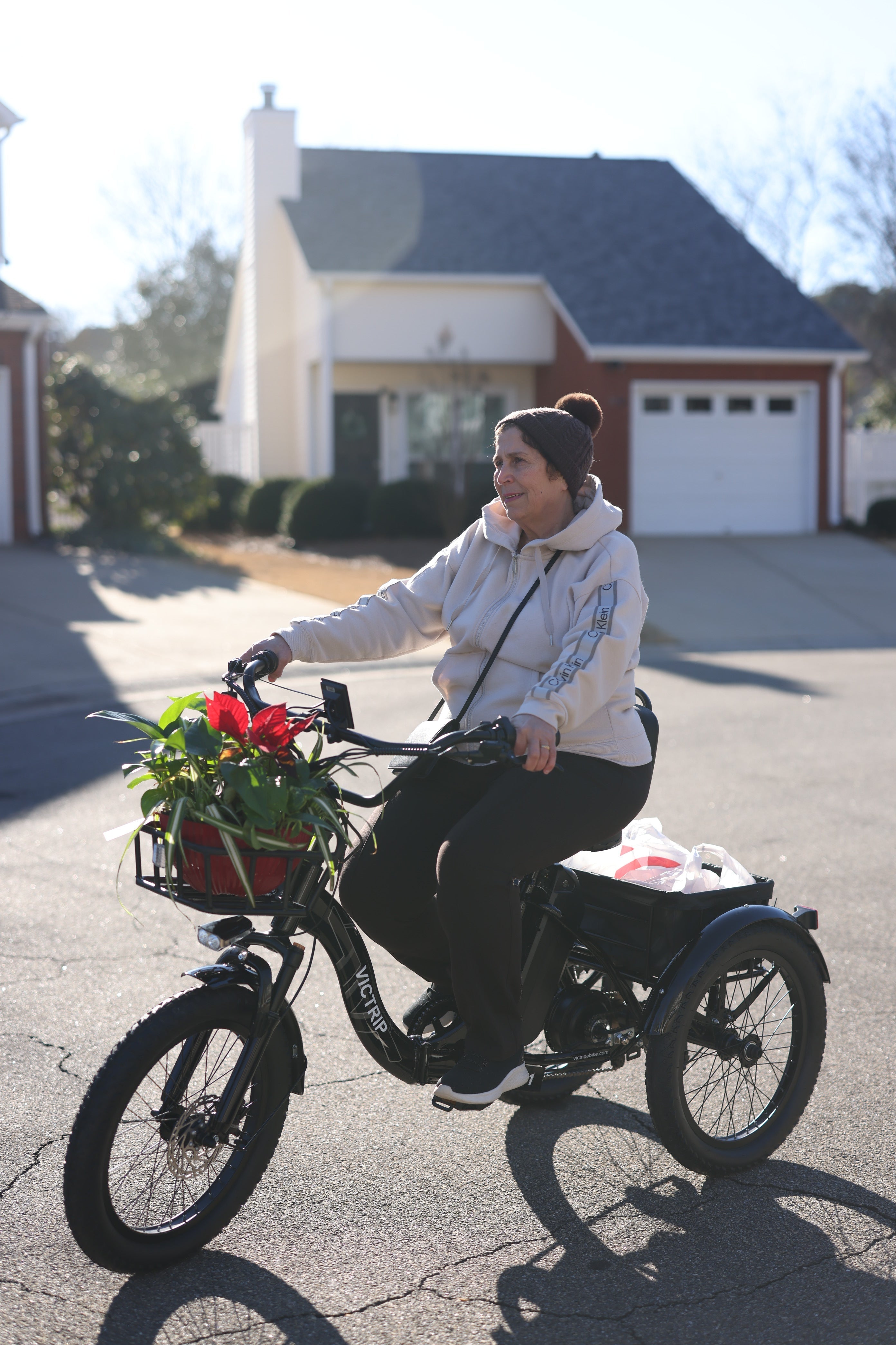 Folding Electric Trike | VICTRIP