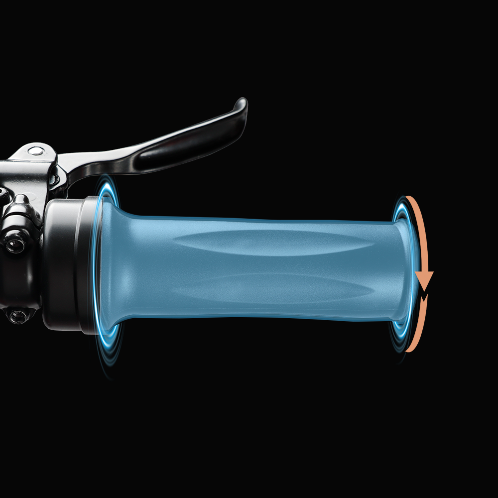 Throttle Electric Bike | VICTRIP