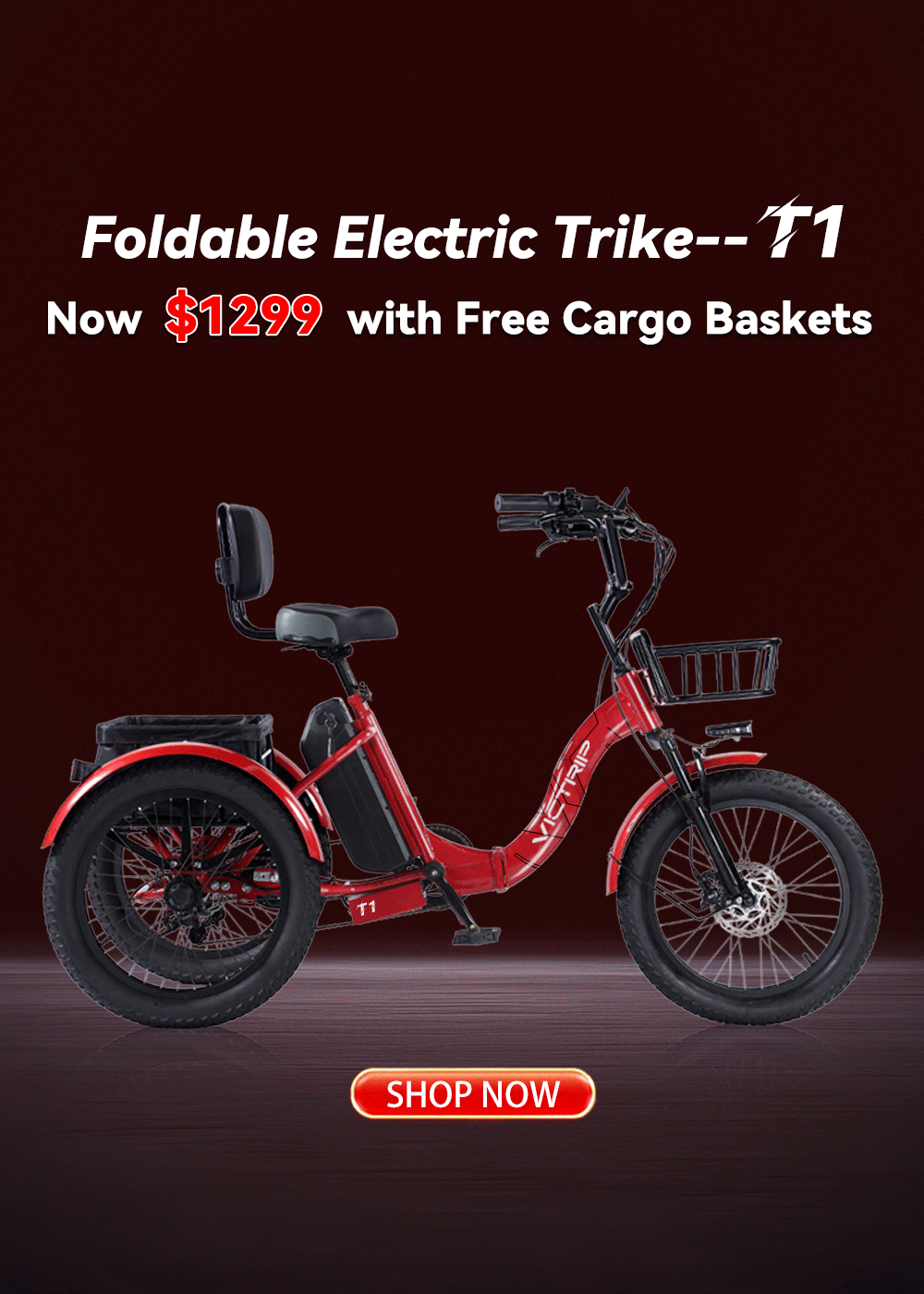 Three Wheel Electric Tricycle | VICTRIP