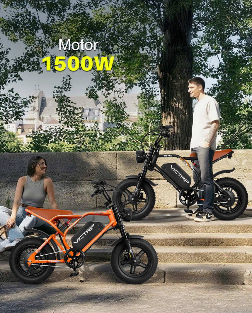 1500W Motor Ebike Fat Tire | VICTRIP
