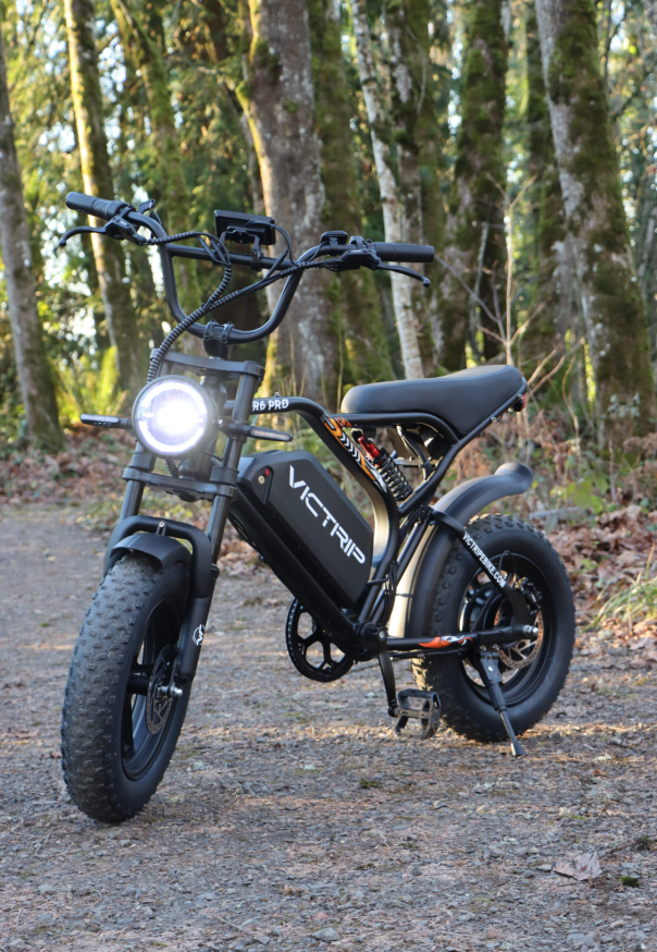 1500w Ebike Mini | VICTRIP