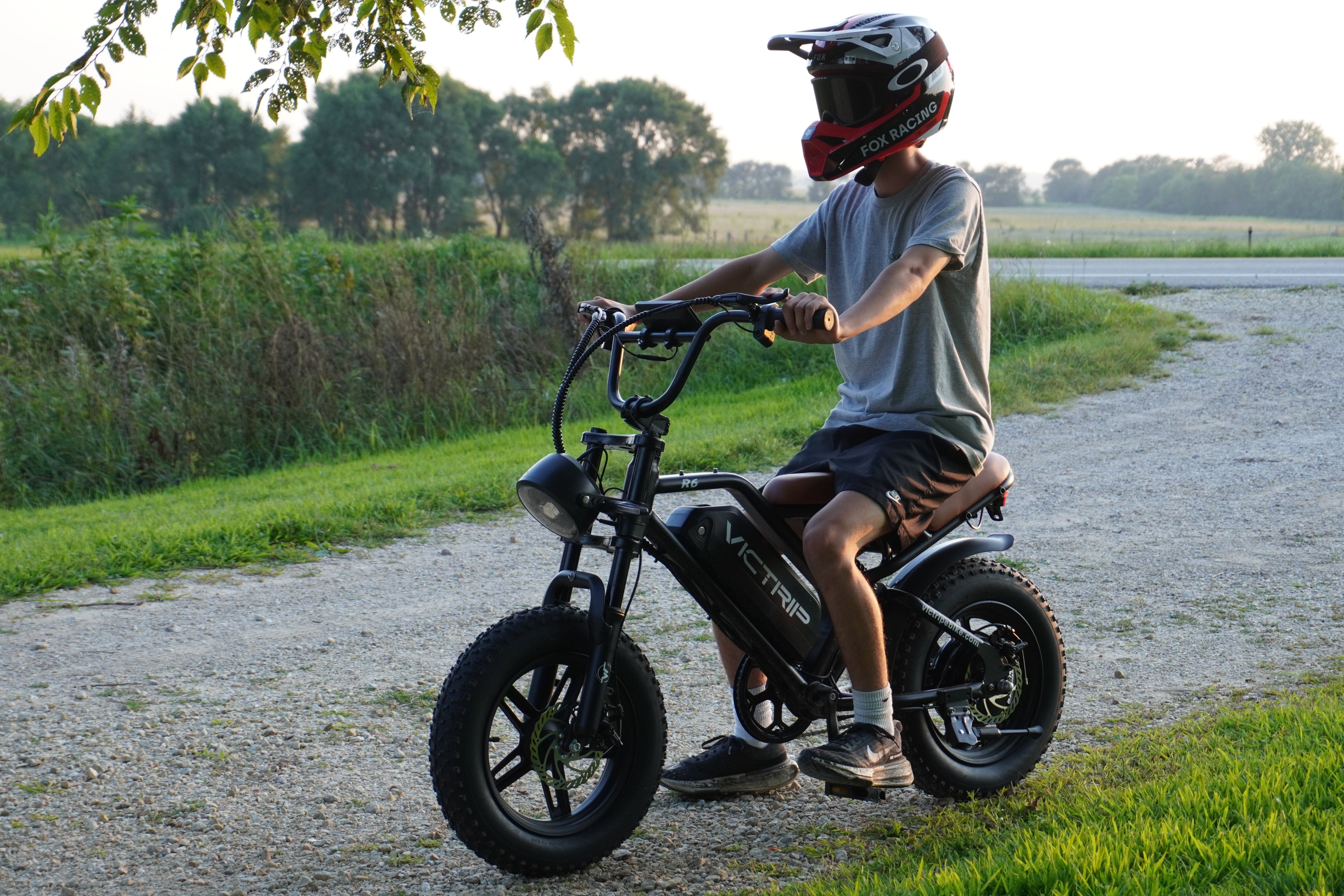 Moped Pedal Bike | VICTRIP