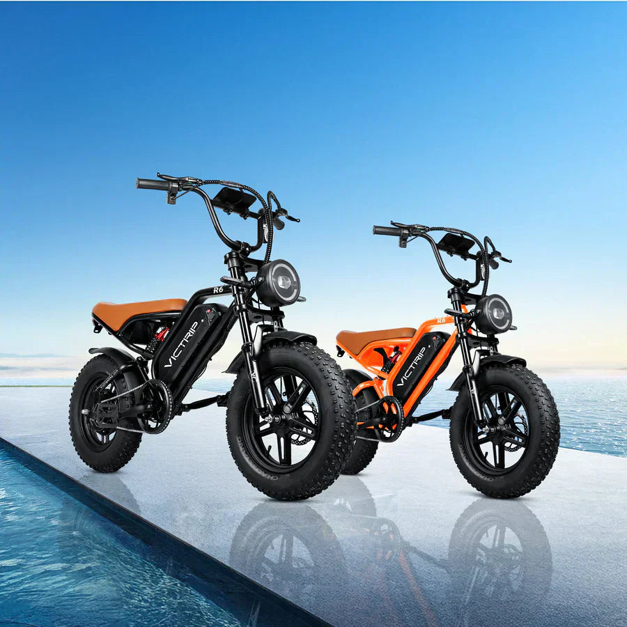Best Moped-style E Bike | VICTRIP