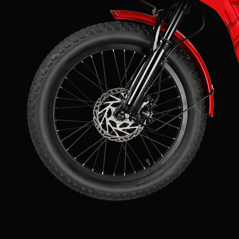 Fat Tire Electric Trike | VICTRIP