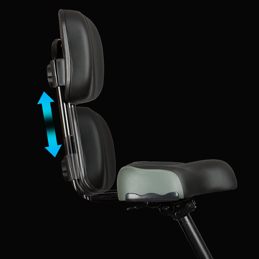 Best Electric Trike Seat | VICTRIP