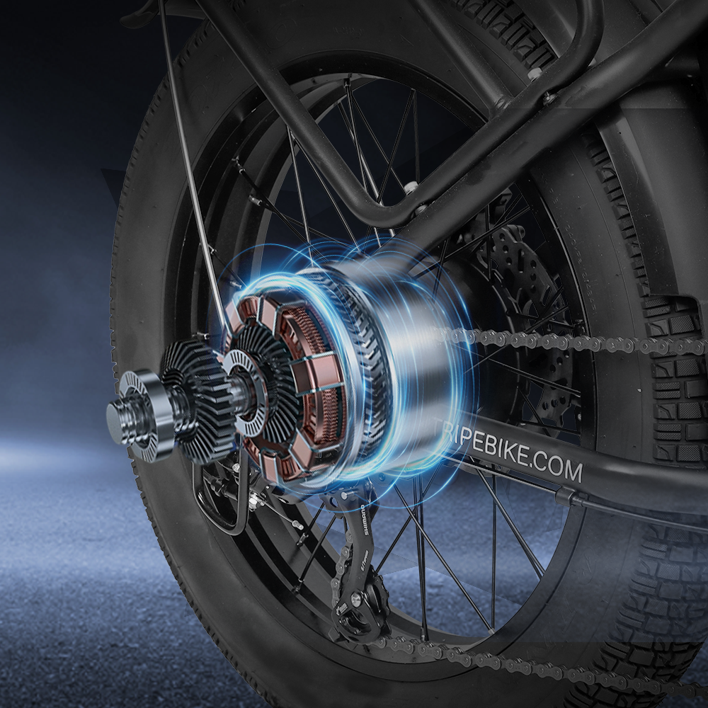 Electric Bike Motors | VICTRIP