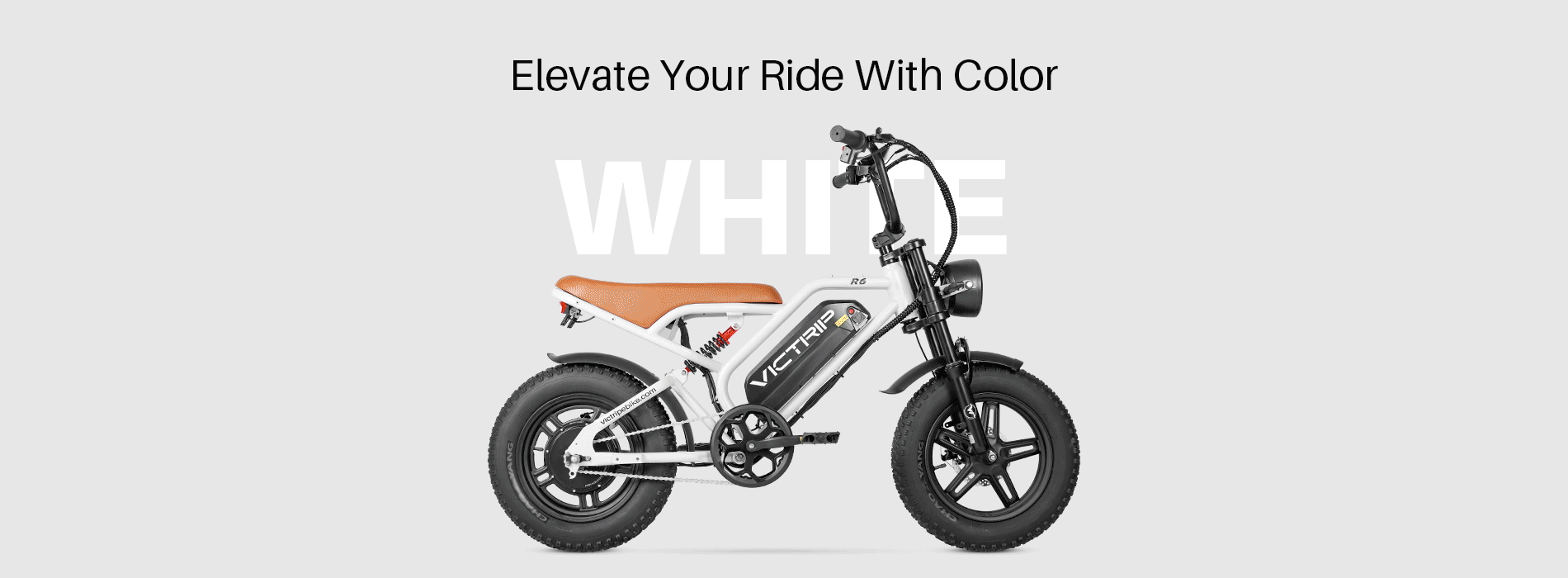 Electric Bicycles For Adults | VICTRIP