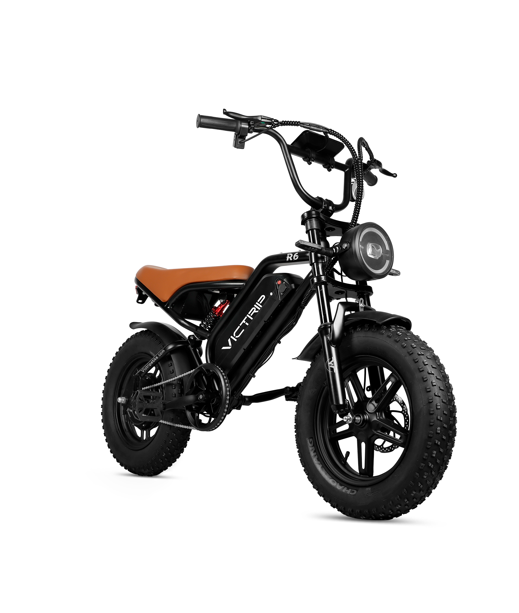 Electric Off-road Bike For Hunting | VICTRIP