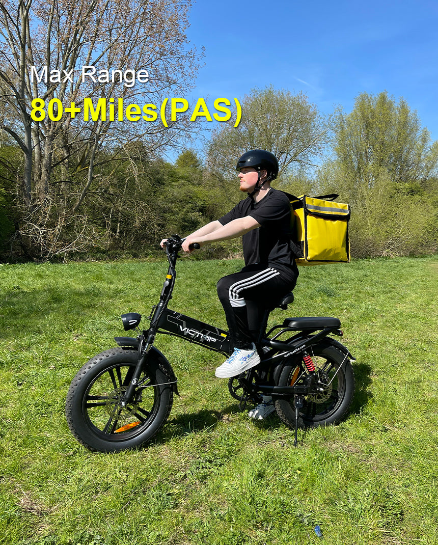 Folding Electric Bike 750w | VICTRIP