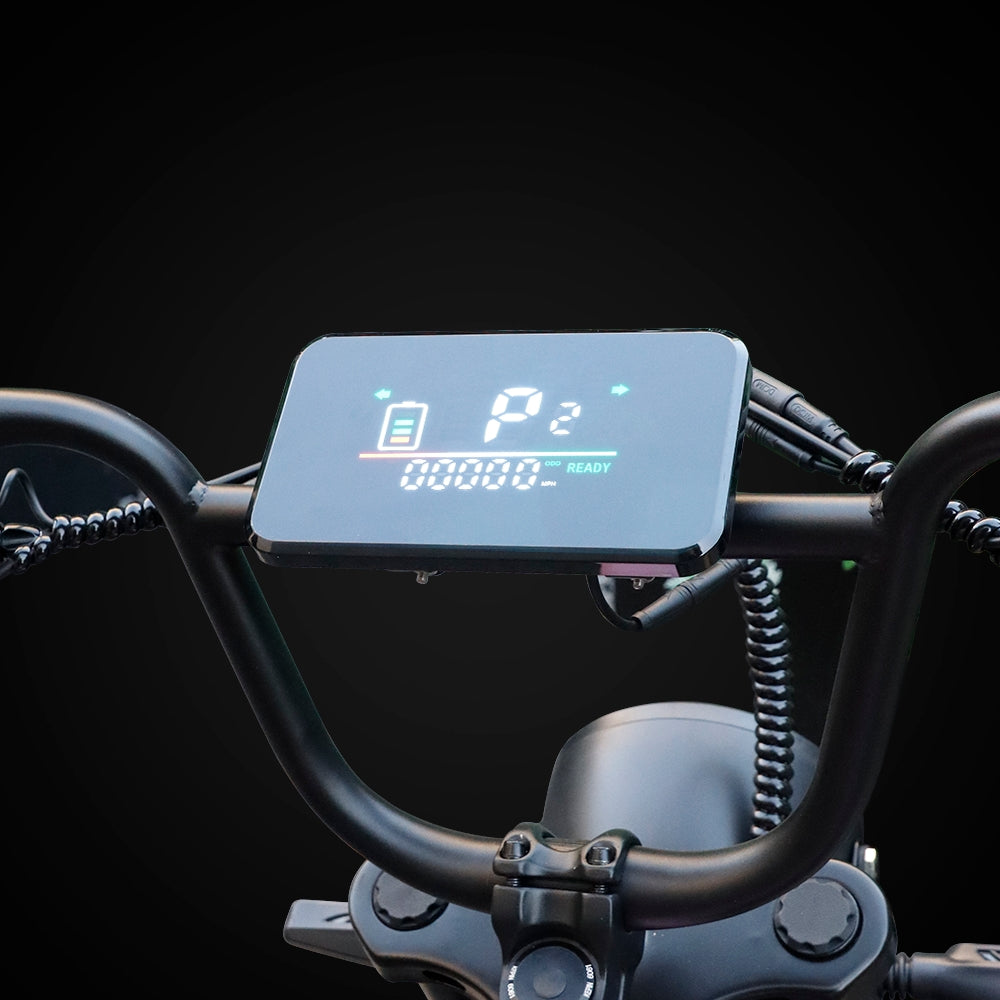 Ebike LCD Display | VICTRIP