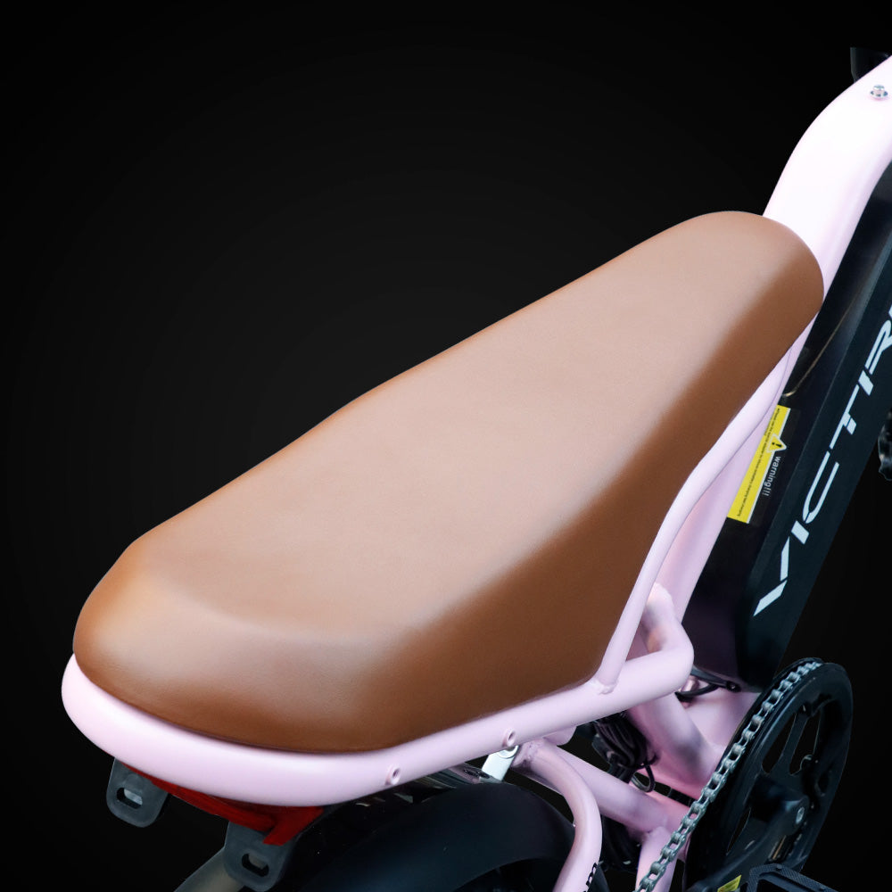 Electric Bike With Seat | VICTRIP