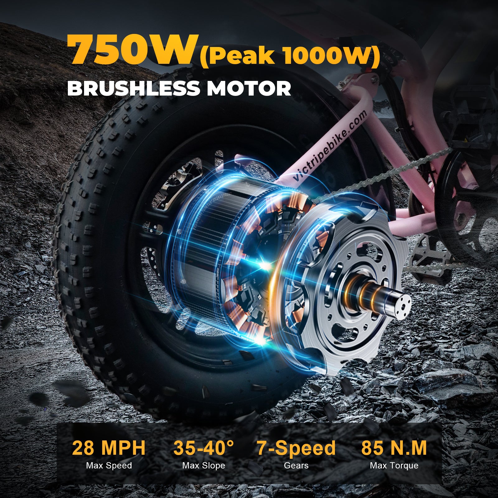 Fat Tire Off Road Ebike 750W | VICTRIP