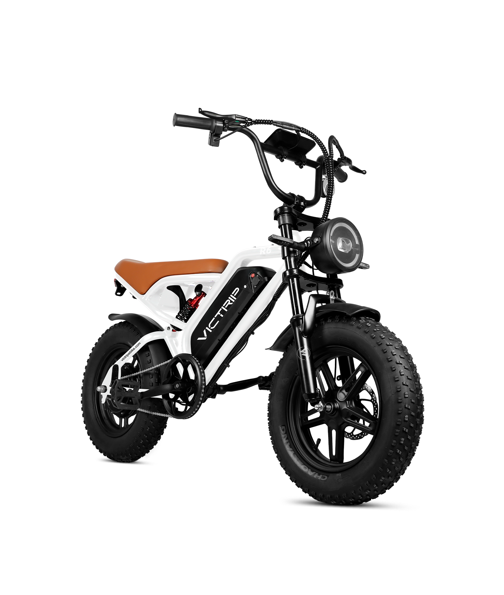 Electric Off Road Bikes | VICTRIP