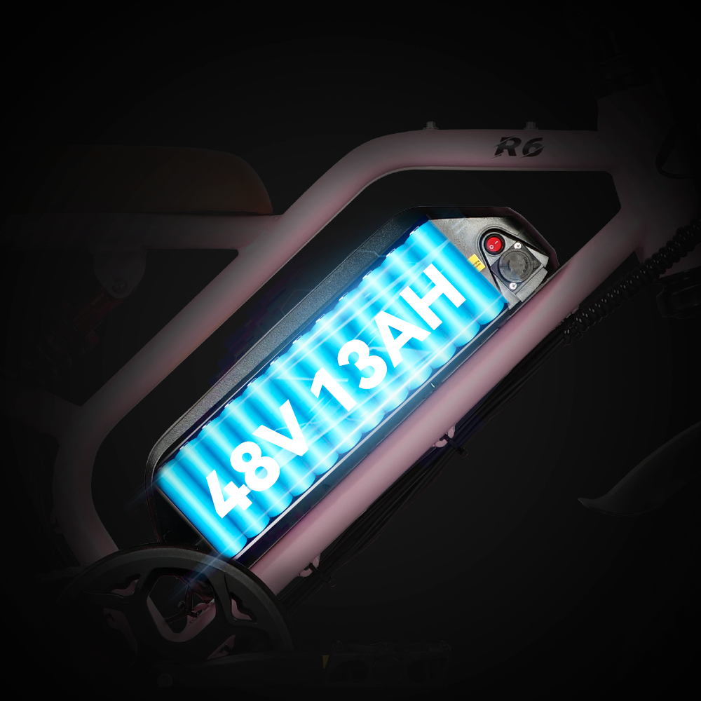 48v Electric Bicycle | VICTRIP