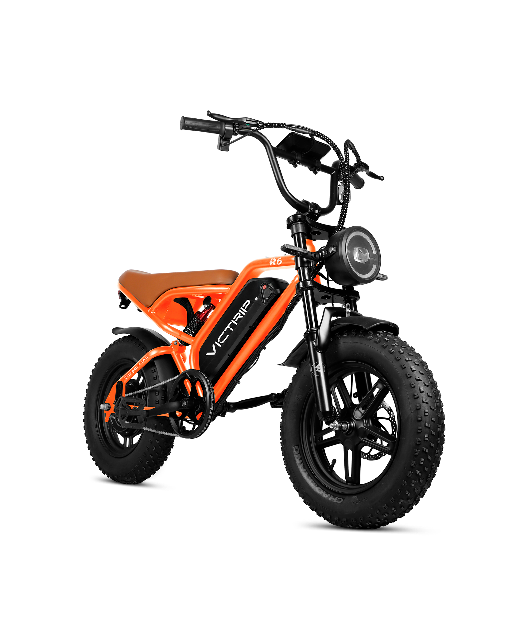 Off-road Electric Bike For Adults | VICTRIP