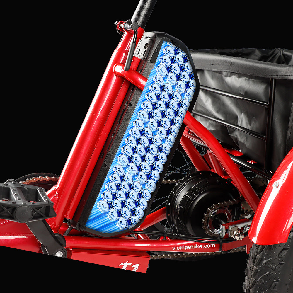 Electric Trike 48V Battery | VICTRIP