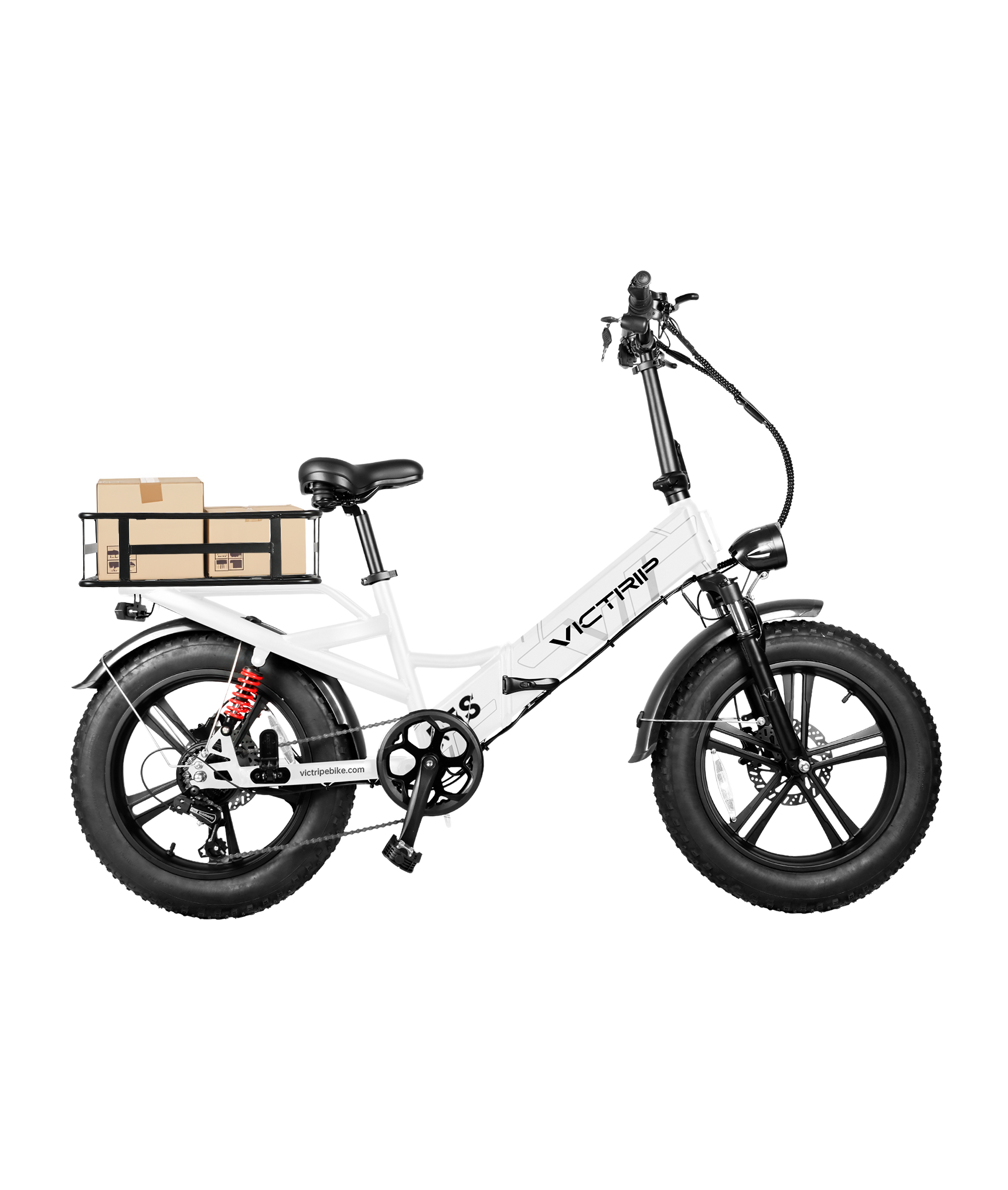 Full Suspension Fat Tire Ebike | VICTRIP