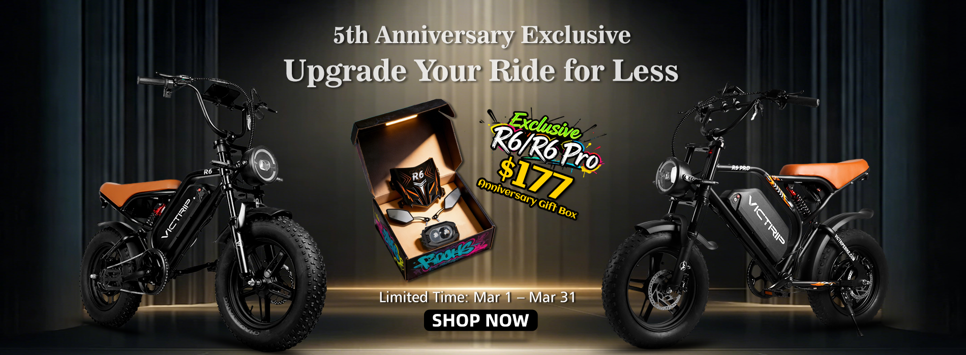 Cheap Electric Bikes | VICTRIP