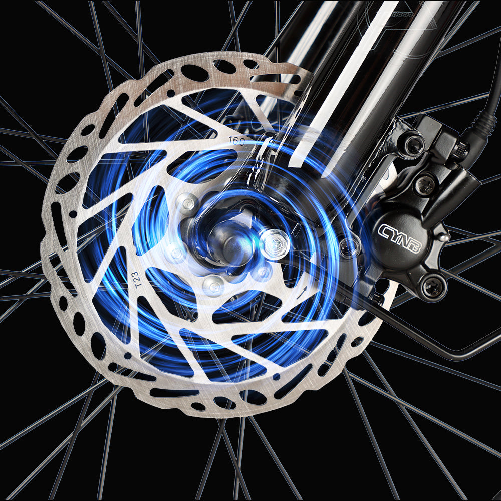 Electric Cargo Trike Brake | VICTRIP