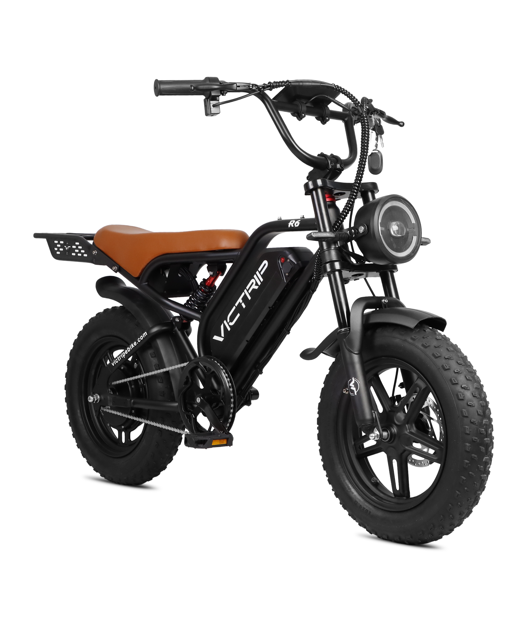VICTRIP®R6 Off Road Ebike
