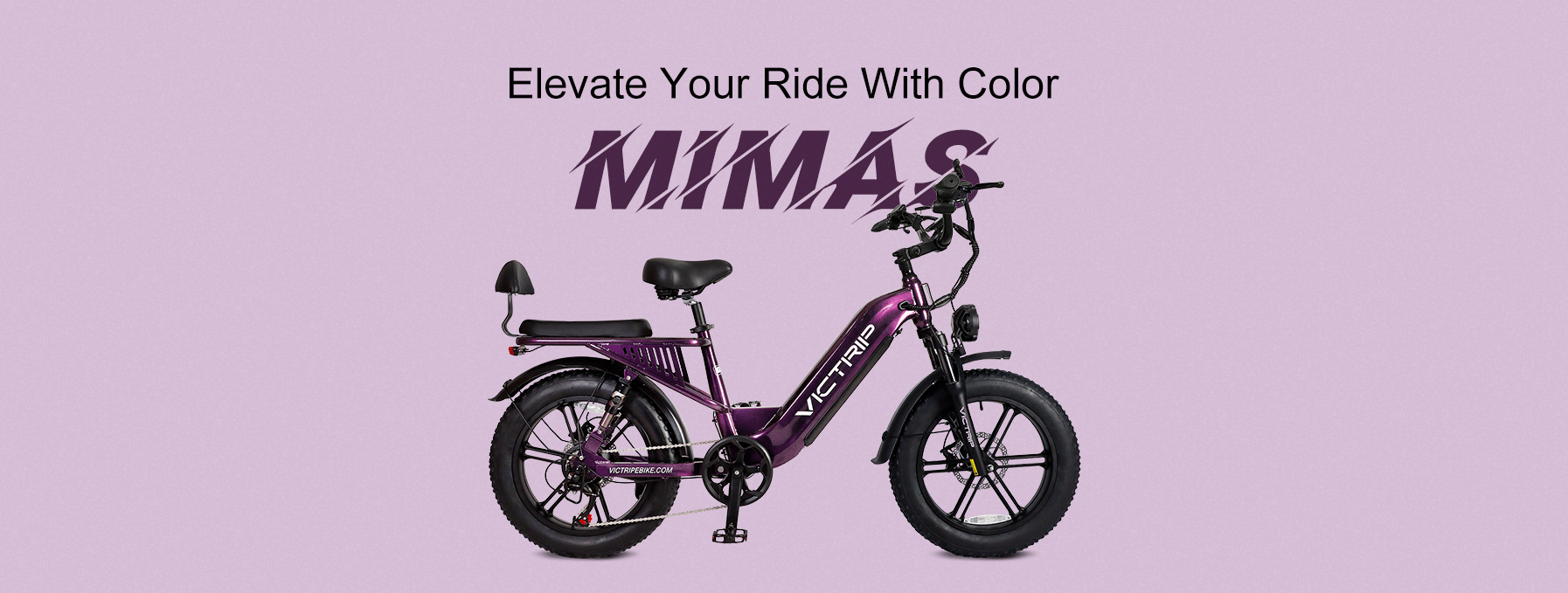 2 Seater Electric Bike For Adults | VICTRIP