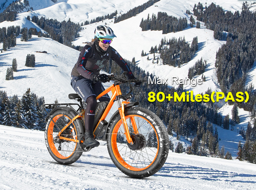 Dual Motor Electric Bicycle | VICTRIP