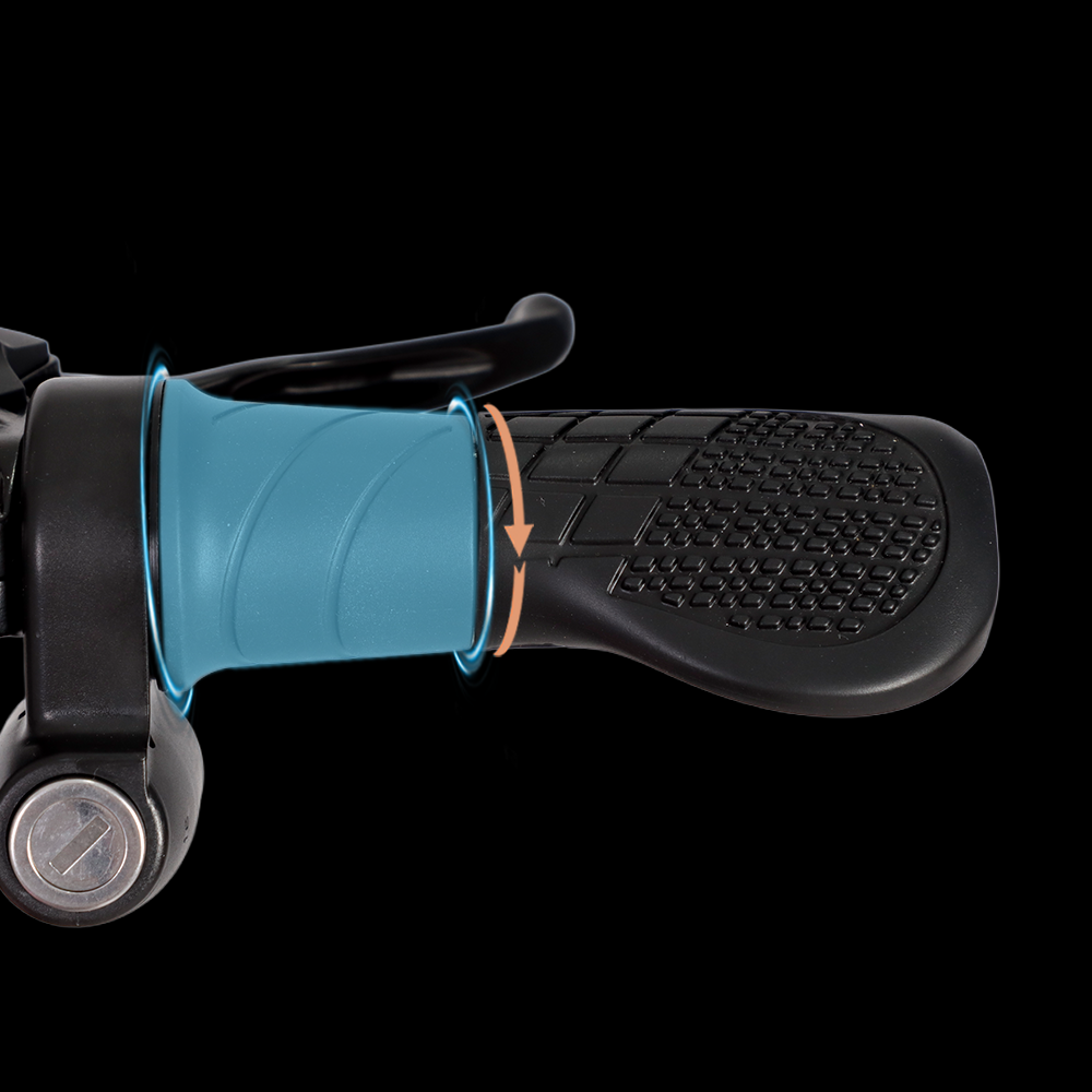Thumb Throttle Electric Bike | VICTRIP