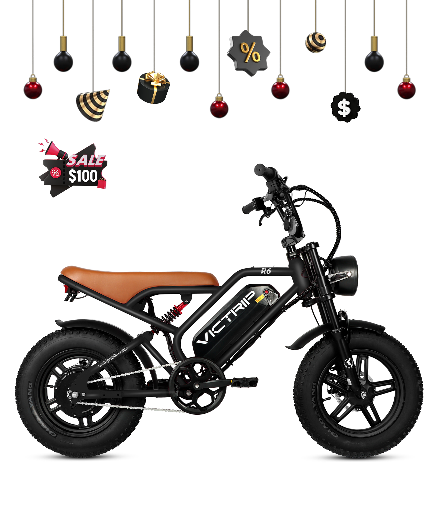 VICTRIP®R6 Off Road Ebike