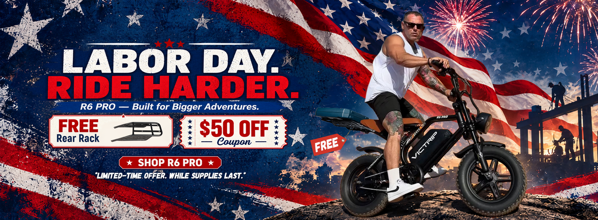 Cheap Electric Moped Bike | VICTRIP