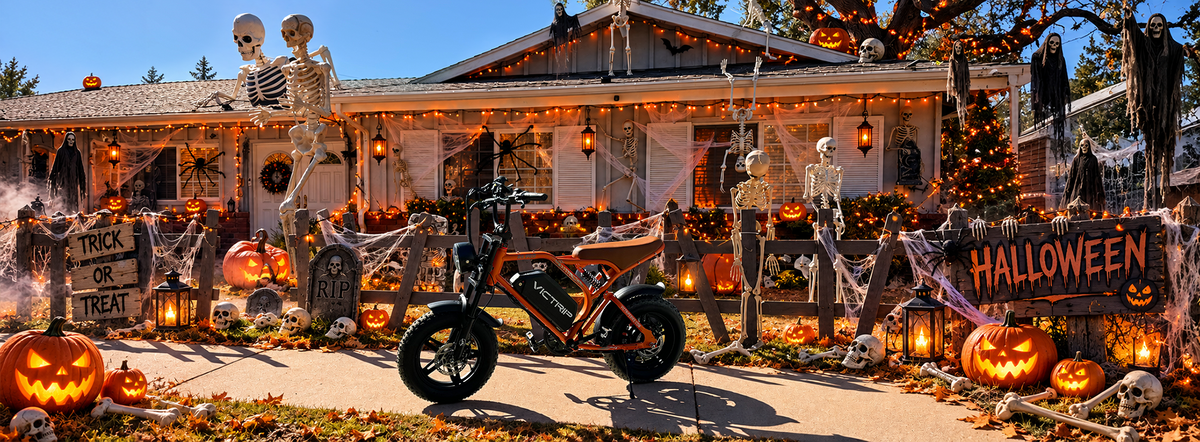Cheap Electric Moped Bike | VICTRIP
