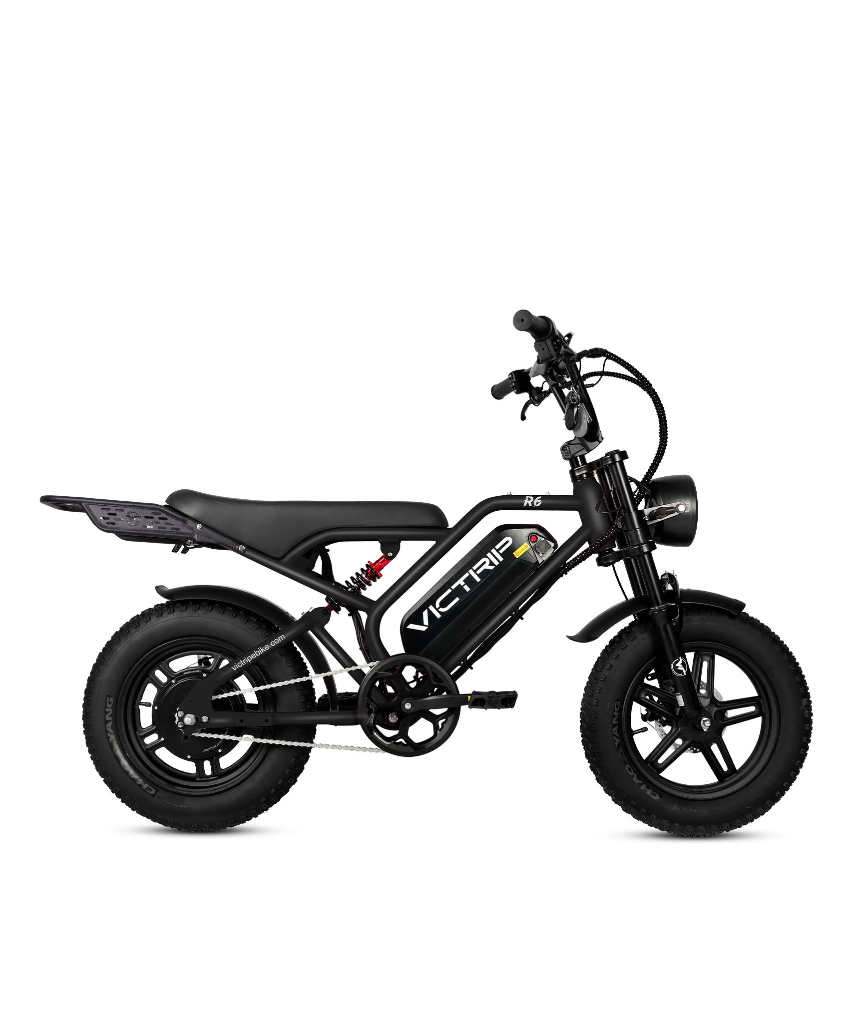 VICTRIP®R6 Off Road Ebike