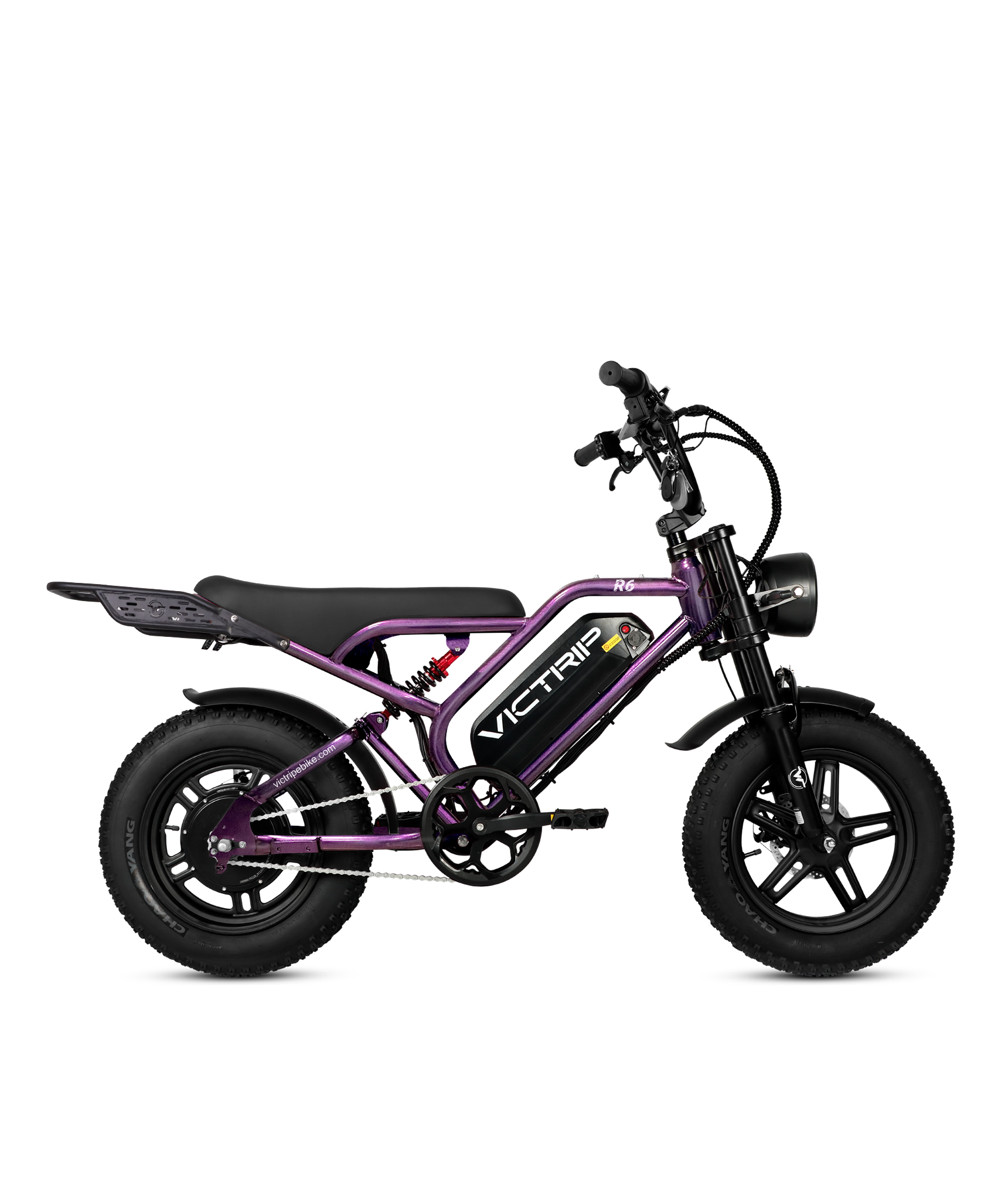 VICTRIP®R6 Off Road Ebike