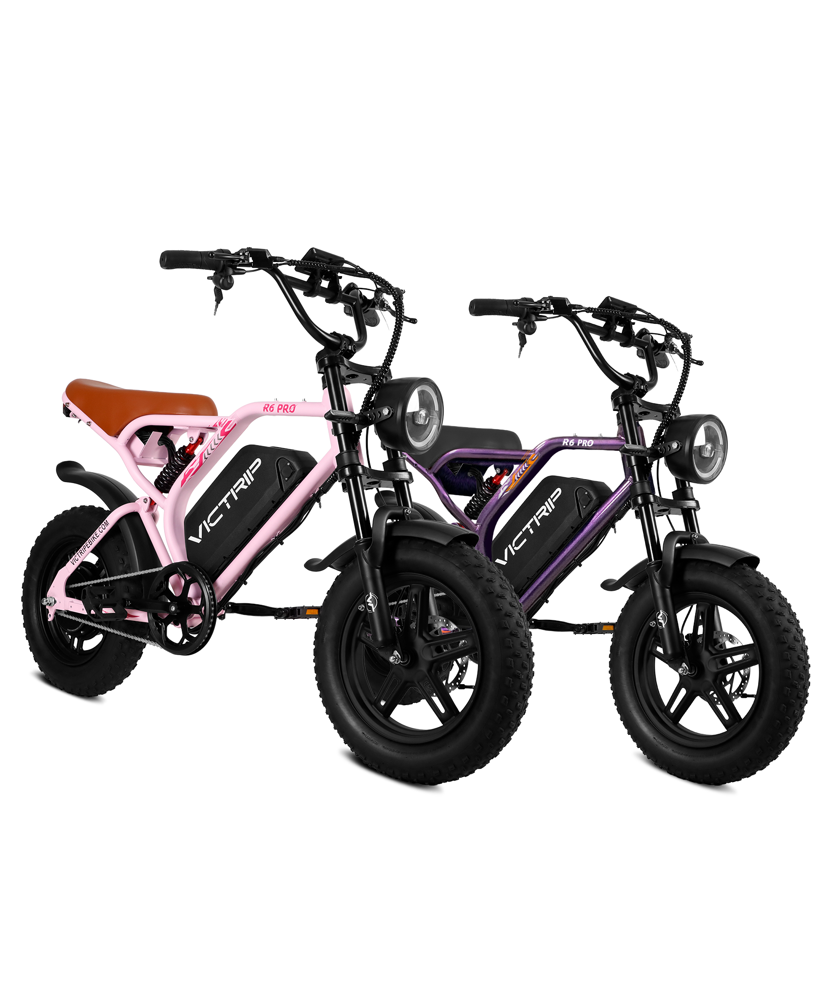 VICTRIP®Ebike Combo Sale R6Pro*2
