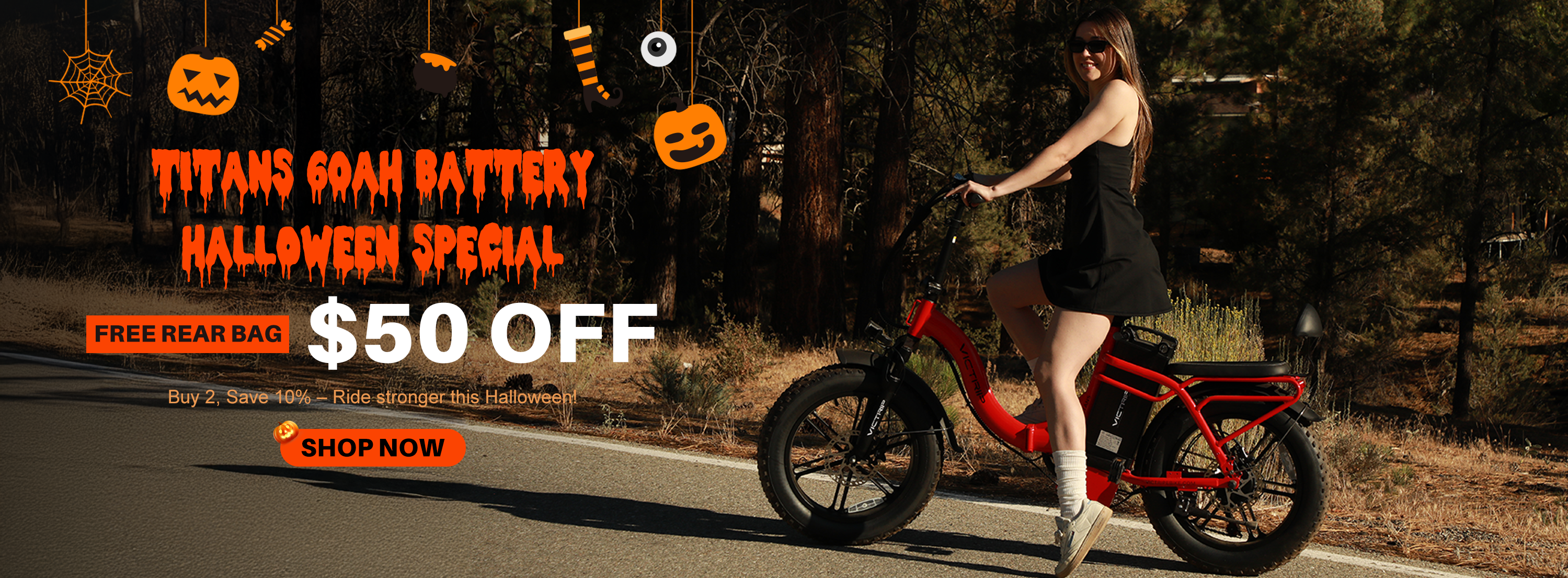 Best Foldable Electric Bike | VICTRIP