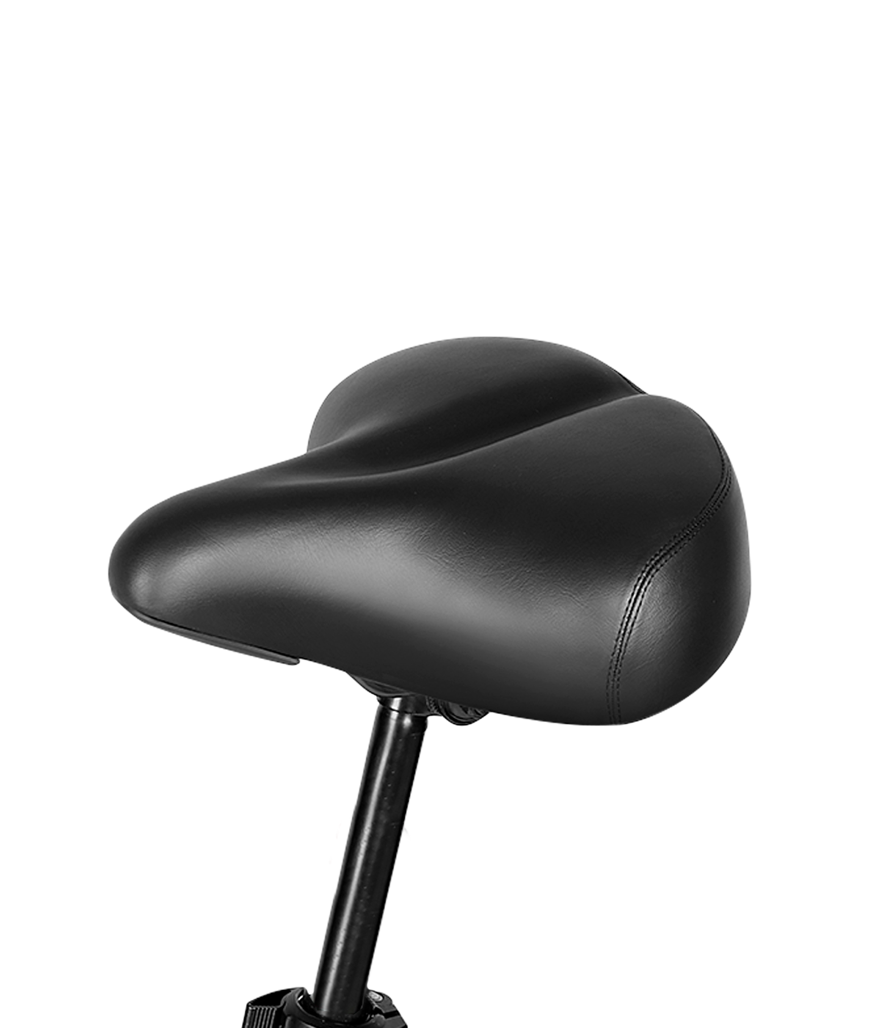 Seater Electric Bike | VICTRIP